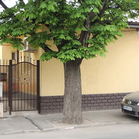 Vis A Vis Bucharest