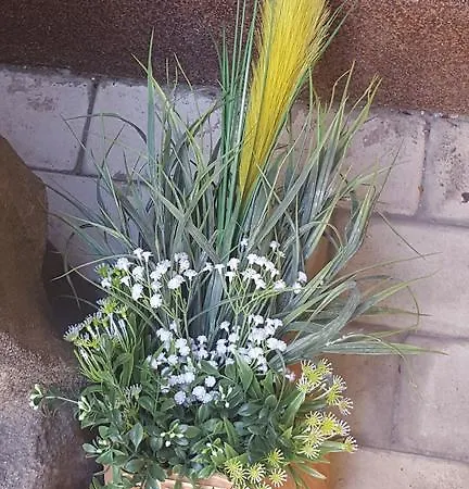 Vis A Vis 3* Bucharest