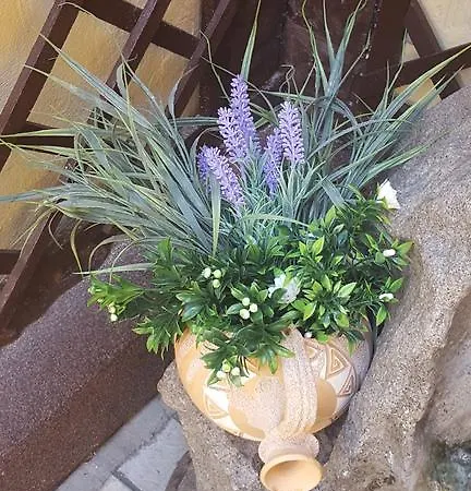 维斯维斯一室公寓 3*