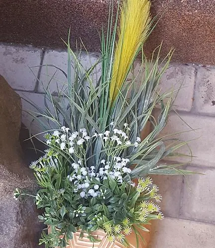 Vis A Vis 3* Bükreş